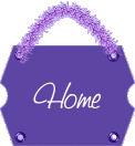 home button