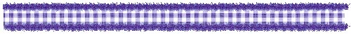 separator bar graphic